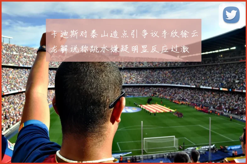 卡迪斯对泰山造点引争议李欣徐云龙解说称跳水嫌疑明显反应过激